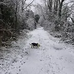 Semesterbostad Yellow Stone Farm And *